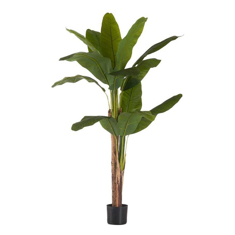 Plante décorative Bananière Vert Plastique (80 x 150 x 80 cm) - Acheter à 74,65 € seulement chez Collector's Boutique