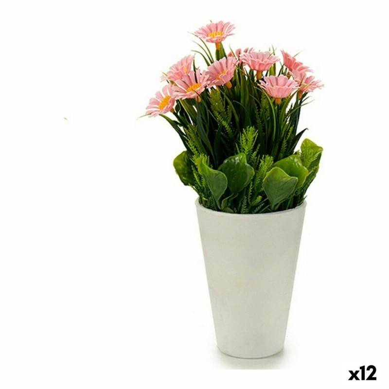 Plante décorative Marguerite Plastique (12 x 21 x 12 cm) (12 Unités) - Acheter à 33,60 € seulement chez Collector's Boutique