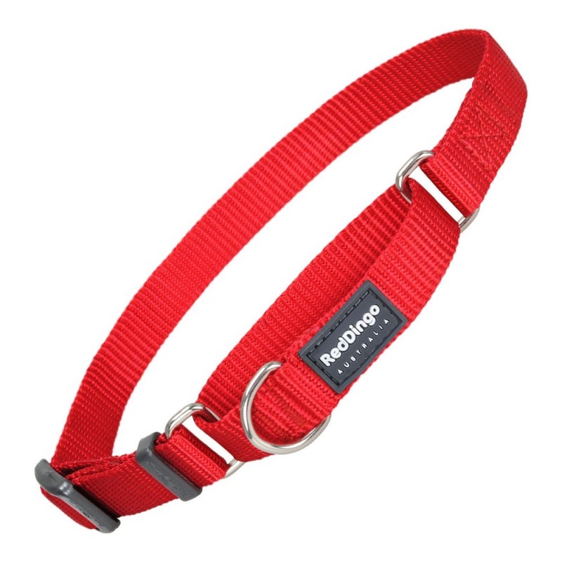 Collier pour Chien Red Dingo Semi-brouillard Rouge (41-62 cm) (2,5 x 41-62 cm) - Acheter à 10,48 € seulement chez Collector's Bo