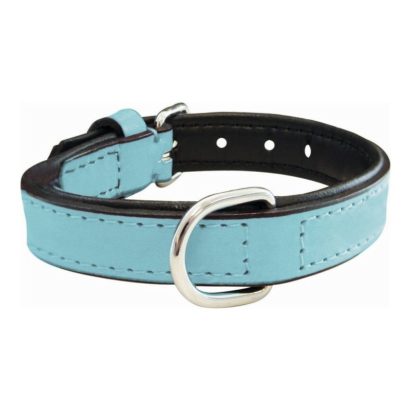 Collier pour Chien Gloria Rembourré Bleu (40 x 2 cm) - Acheter à 7,26 € seulement chez Collector's Boutique