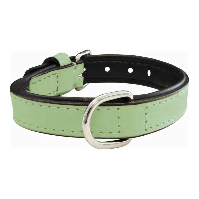 Collier pour Chien Gloria Rembourré Vert (50 x 2,5 cm) - Acheter à 7,91 € seulement chez Collector's Boutique