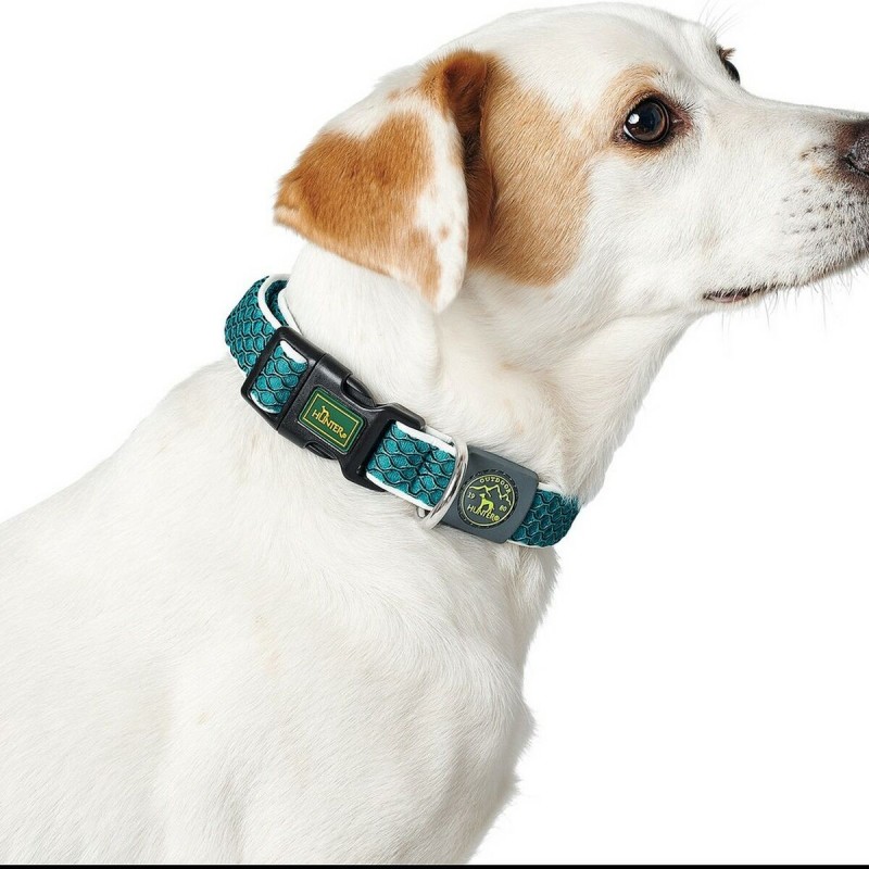 Collier pour Chien Hunter Basic Fil Bleu Taille S Blue (30-43 cm) - Acheter à 13,22 € seulement chez Collector's Boutique