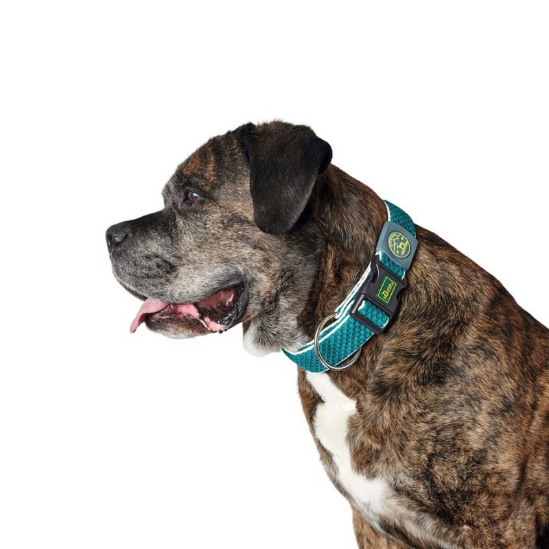 Collier pour Chien Hunter Plus Fil turquoise Turquoise Taille XL (45-70 cm) - Acheter à 17,16 € seulement chez Collector's Bouti