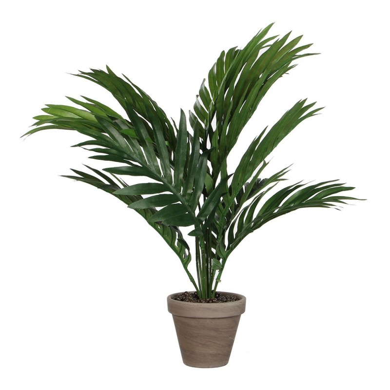 Plante décorative Mica Decorations 45 x 60 cm Céramique PVC Palmier - Acheter à 18,46 € seulement chez Collector's Boutique