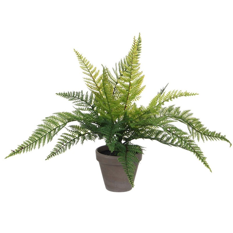 Plante décorative Mica Decorations 40 x 11,5 cm Céramique PVC Fougère - Acheter à 19,63 € seulement chez Collector's Boutique