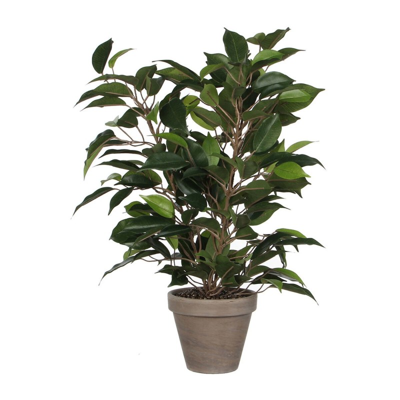 Plante décorative Mica Decorations 40 x 30 cm Céramique PVC Ficus - Acheter à 21,54 € seulement chez Collector's Boutique