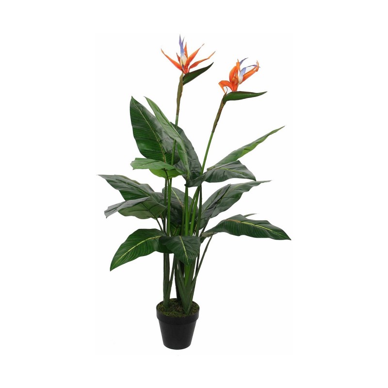 Plante décorative Mica Decorations (60 x 110 cm) - Acheter à 77,88 € seulement chez Collector's Boutique